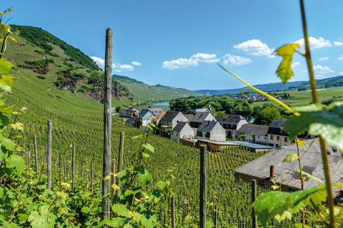 Wine magic on the Main, Rhine and Moselle