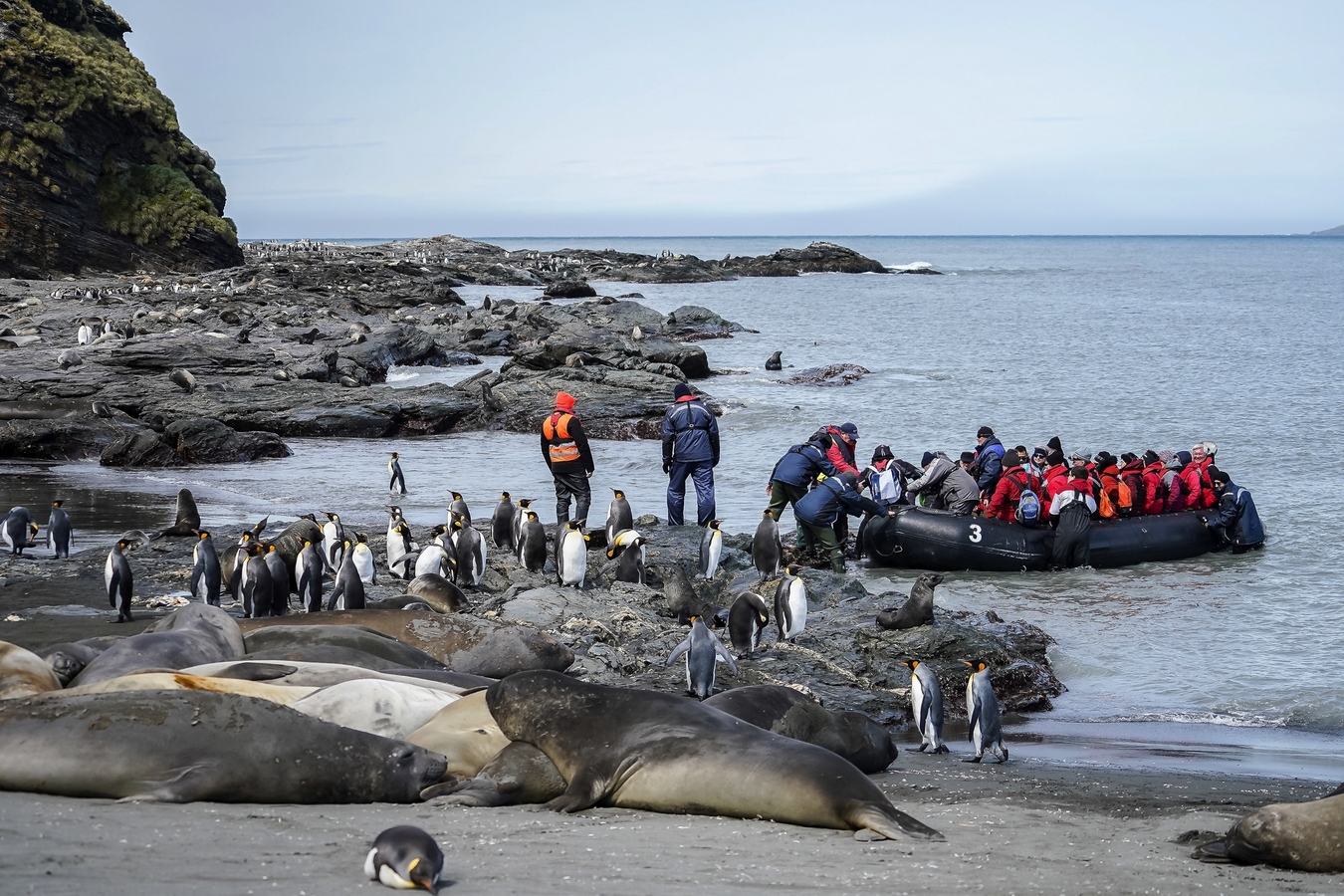 St. Andrews Bay-Südgeorgien_Zodiac Anlandung