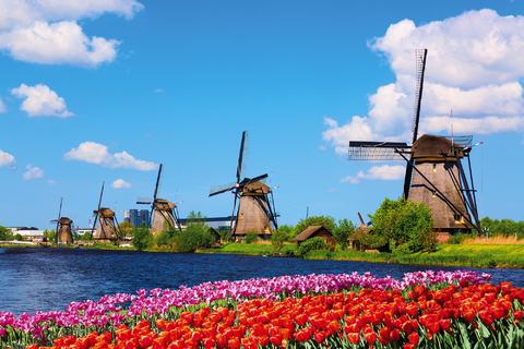 Startschuss fürs Tulpenfest in Holland