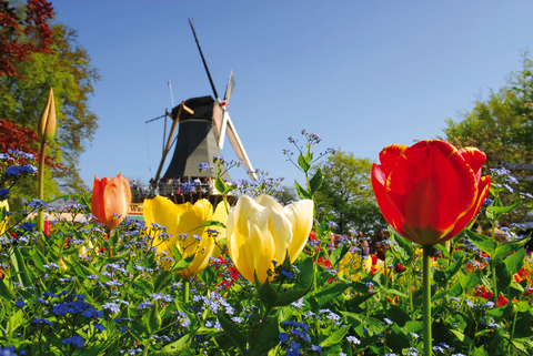 Frühling an holländischen Ufern