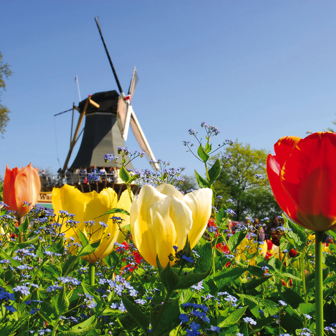 Frühling an holländischen Ufern