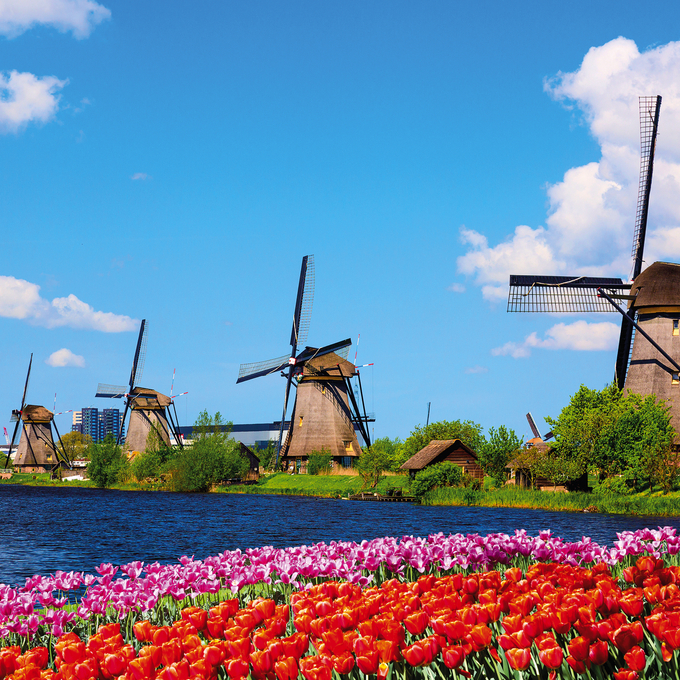 Starting signal for the Tulip Festival in Holland