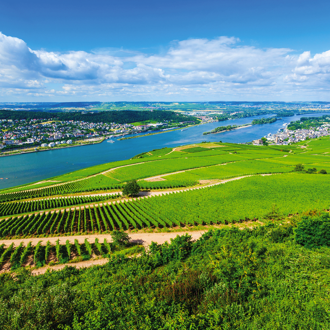 Traveling on the Rhine