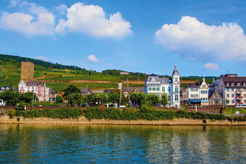 The imposing Rhine in all its length