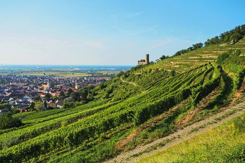 Autumnal Rhine tour