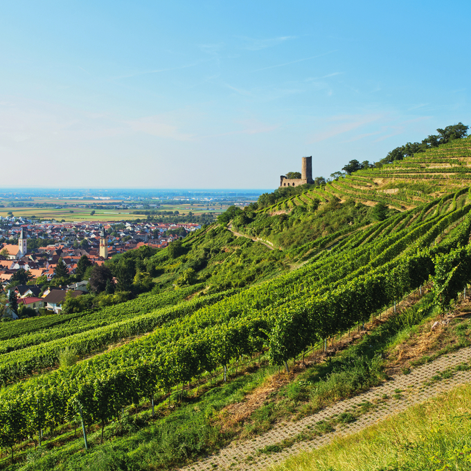 Autumnal Rhine tour