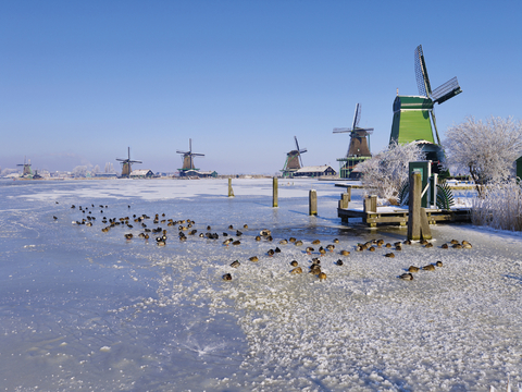 New Year's Eve magic in Zaandam